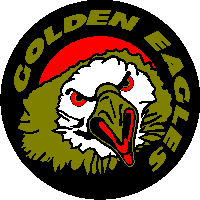 salt lake golden eagles jersey